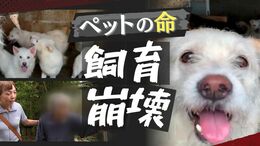 “囚われの動物たち”悪臭の家に８４匹の犬、現実と向き合えない「多頭飼育崩壊」|TBS NEWS DIG