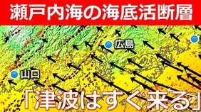 「瀬戸内海でも津波はすぐ来る」能登半島と“同じタイプ” 海底活断層が複数存在 地盤隆起のおそれも 広島湾の海底活断層は危険度“最高ランク”(Sランク)評価|TBS NEWS DIG