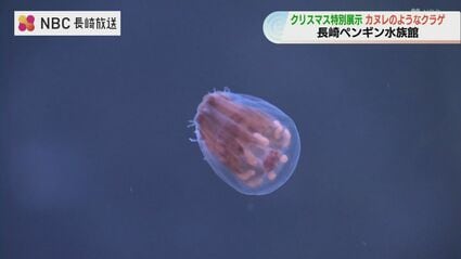 img_80b027e6303e43abf659664eef