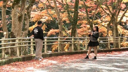 総社市の豪渓で紅葉が見ごろ 色付いた木々と屏風のような岩石の渓谷美