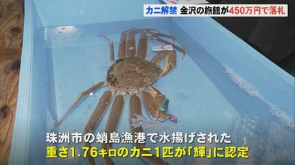 ズワイガニ初競りで石川県産「輝」1匹に450万円 金沢市の旅館が落札