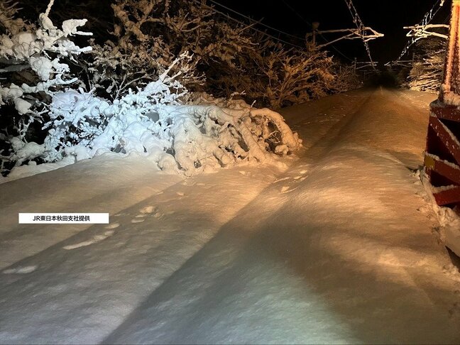 大雪による倒木でJR奥羽本線は運休続く 少なくとも8日午後5時頃まで運転見合わせ予定 倒木による停電発生で伐採・除雪作業中|TBS NEWS DIG