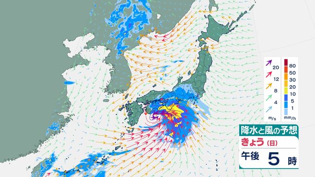 【気象情報】関東甲信 今後の雨は?【1時間ごとの雨と風の予想画像掲載】7日午後から雨が降り始める見込み 伊豆諸島では警報級の大雨の可能性も|TBS NEWS DIG