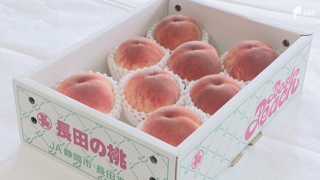 「色や形、味が非常に良くなっている」静岡市の特産「長田の桃」品評会 悪天候の影響で収穫量は減少も高品質に仕上がる|TBS NEWS DIG