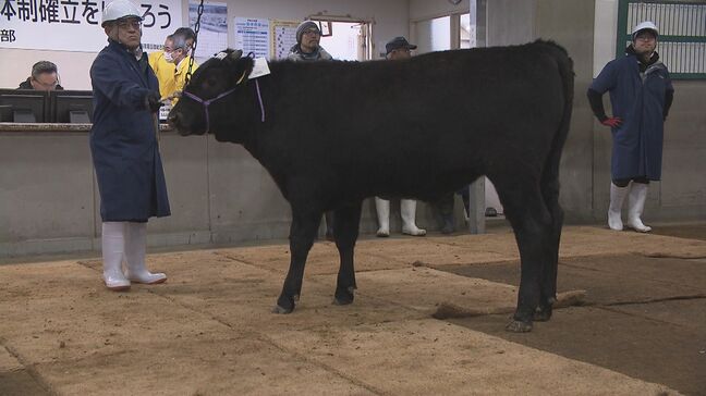 和牛の初セリ　去年より価格上昇も物価高・エサ代高騰で伸び悩み　いまだ風評被害も…福島|TBS NEWS DIG