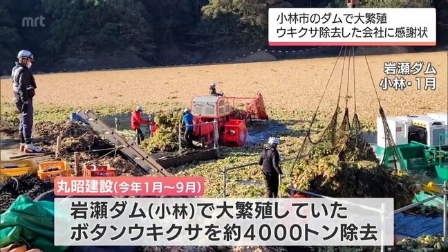 小林市のダムで大繁殖 特定外来生物「ウキクサ」を除去　都城市の建設会社に宮崎県から感謝状|TBS NEWS DIG