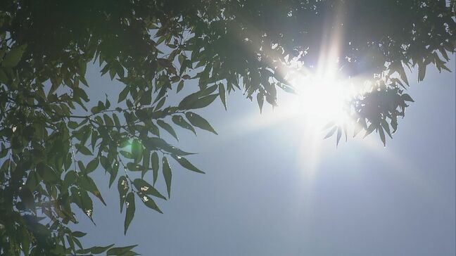 岐阜市39℃ 名古屋市38℃予想  東海3県に熱中症警戒アラート「涼しい時間がない…」きょうも熱中症対策を|TBS NEWS DIG