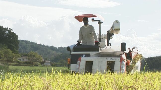 「以前の価格に戻ったら農業者やめてしまう」高騰のコメに値下げの動き　生産者・消費者とも納得の「適正価格」は？|TBS NEWS DIG