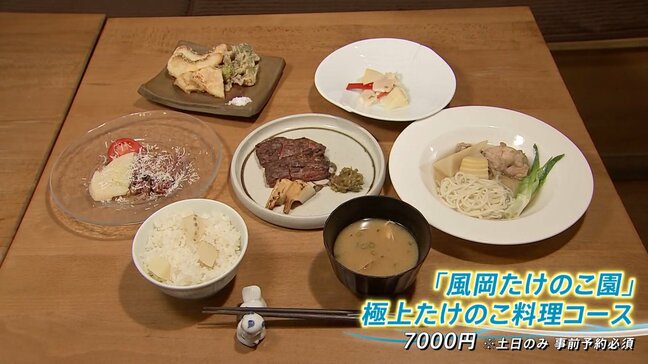 タケノコ豊作でお得に!キャンプ場は無料で掘り放題 絶品!タケノコ料理|TBS NEWS DIG