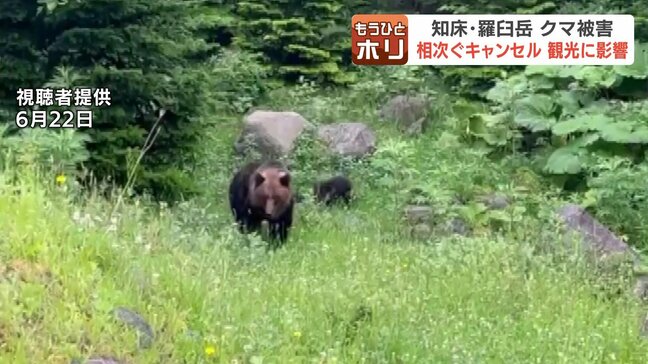 世界遺産・知床に潜む危機 ヒグマが人間を襲った…登録後初の人身事故が問いかけるもの 入山規制が必要だったと指摘する専門家も|TBS NEWS DIG