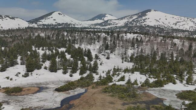 八甲田の「残雪」と芽吹く「新緑」　春から夏へ移り変わる自然のスケッチ【カメラマンが見るレンズの先の世界】|TBS NEWS DIG