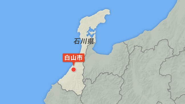 カキの木の上にクマ居座る “緊急銃猟”は行わない方針 石川・白山市の山間部|TBS NEWS DIG