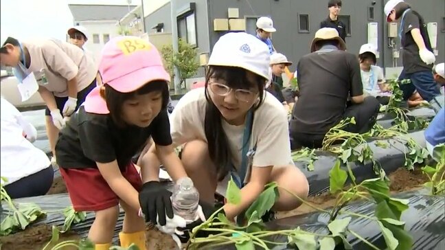 農作物への感謝の気持ちを育んで　延岡市の幼稚園児と小学生が協力してサツマイモの苗植え|TBS NEWS DIG