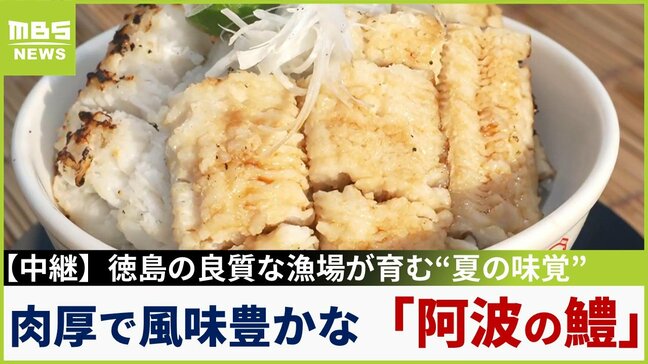 【中継】怖い顔に似合わず味は"繊細"?肉厚で風味豊かな「阿波の鱧」で作る絶品丼 体に浮かぶ"金色の筋"は脂がのっている証拠!徳島・小松島市【川地洋平の最旬!丼マン】|TBS NEWS DIG