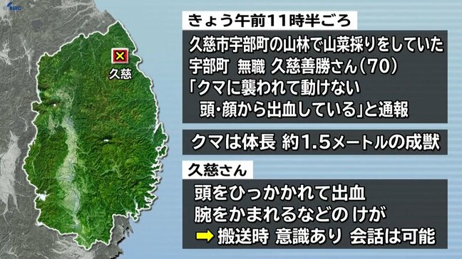「クマに襲われて動けない。　頭、顔から出血している」岩手県久慈市の山林でクマに襲われ70代男性けが　熊の人身被害は今年度2回目|TBS NEWS DIG