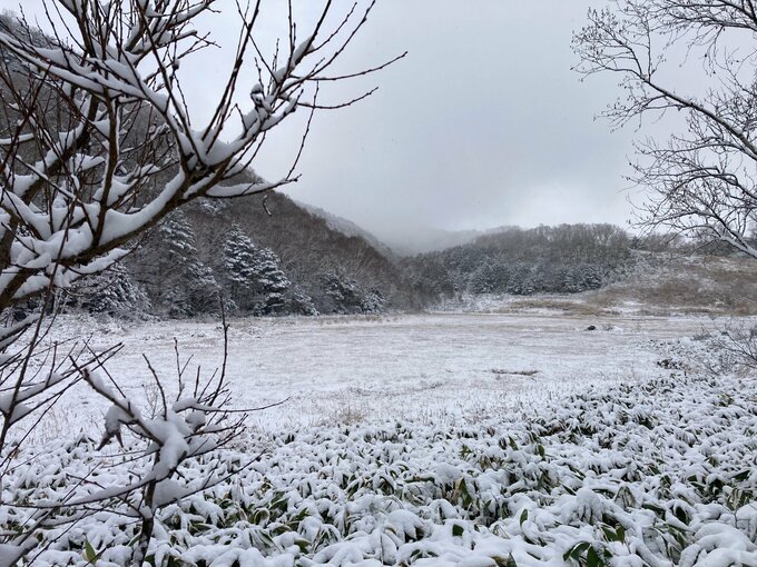 長野県内の標高の高いところで雪　菅平や野辺山で氷点下・平地も気温低く「平年並み」に|TBS NEWS DIG