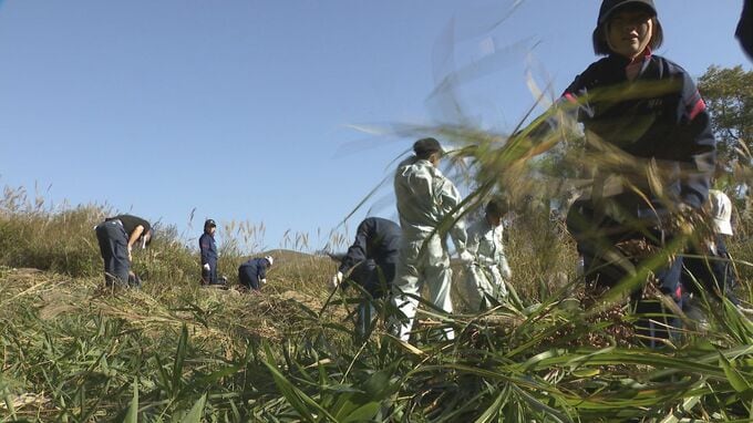 秋吉台で「火道切り」行われる　来春の「山焼き」に備え300メートル防火帯の草刈り 地元の高校生・中学生らが協力　山口|TBS NEWS DIG