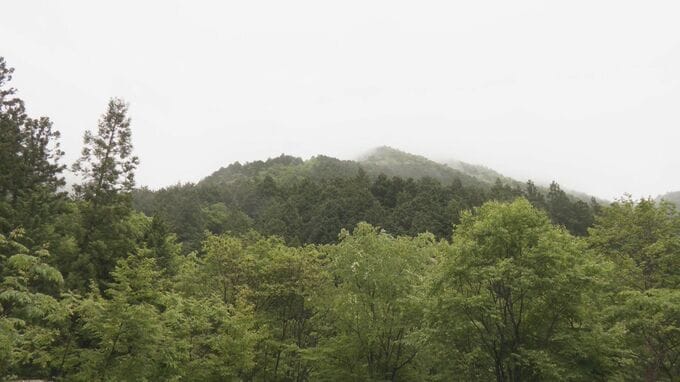 岐阜・中津川市の小秀山で50代の男性遺体 山岳遭難で行方不明の男性か|TBS NEWS DIG