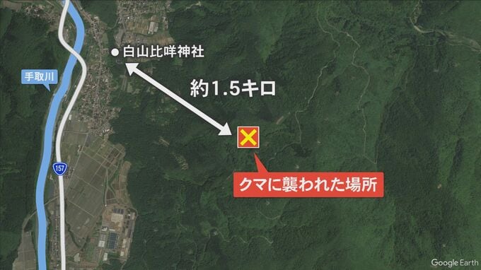 「出会い頭に顔をひっかかれる」今年初のクマ被害 　|　石川県のニュース｜MRO北陸放送