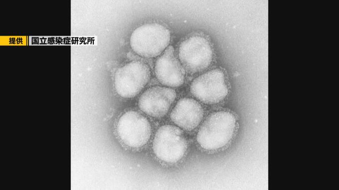 下北に「インフルエンザ警報」青森県内で今シーズン初　1医療機関あたり患者51人・前週比8倍超|TBS NEWS DIG