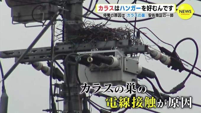 カラスは〇〇〇〇を好むんです　停電の原因は「カラスの巣」　広島・安佐南区の一部　|　RCC NEWS | 広島ニュース | RCC中国放送