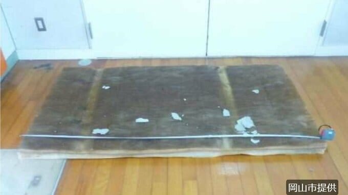 【速報】小学校の体育館で天井断熱材が落下　長さ180センチ 重さ約2.5キロ【岡山】|TBS NEWS DIG