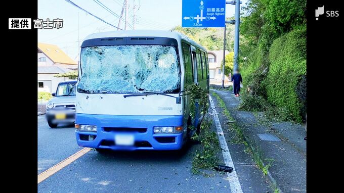 風による倒木か　送迎バスを直撃　フロントガラス割れ 運転手ら2人けが＝静岡・富士市|TBS NEWS DIG