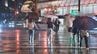 台風６号　２日にかけ暴風域を伴い県内に接近　厳重な警戒を　|　MRTニュース ｜ ＭＲＴ宮崎放送