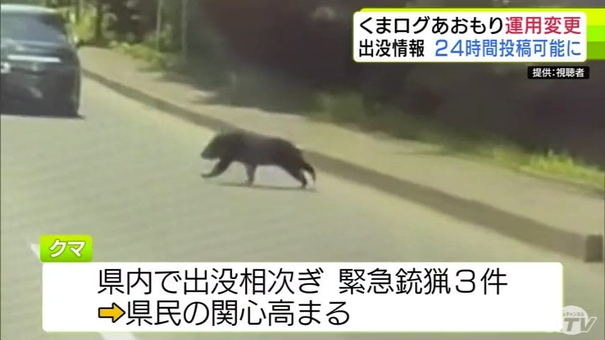 投稿制限していた「くまログあおもり」 24時間投稿を再開 青森県
