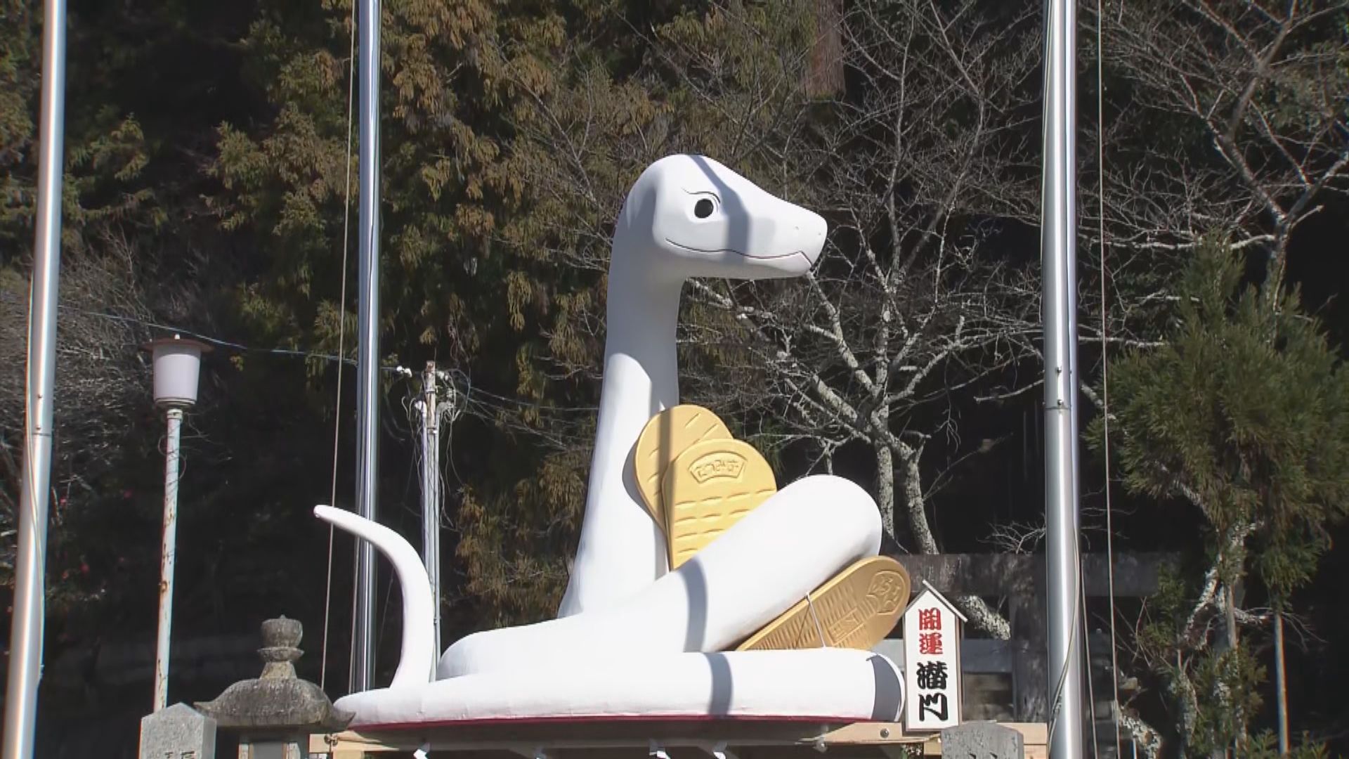 img_81c2d4c14040271db7d9c23bc2