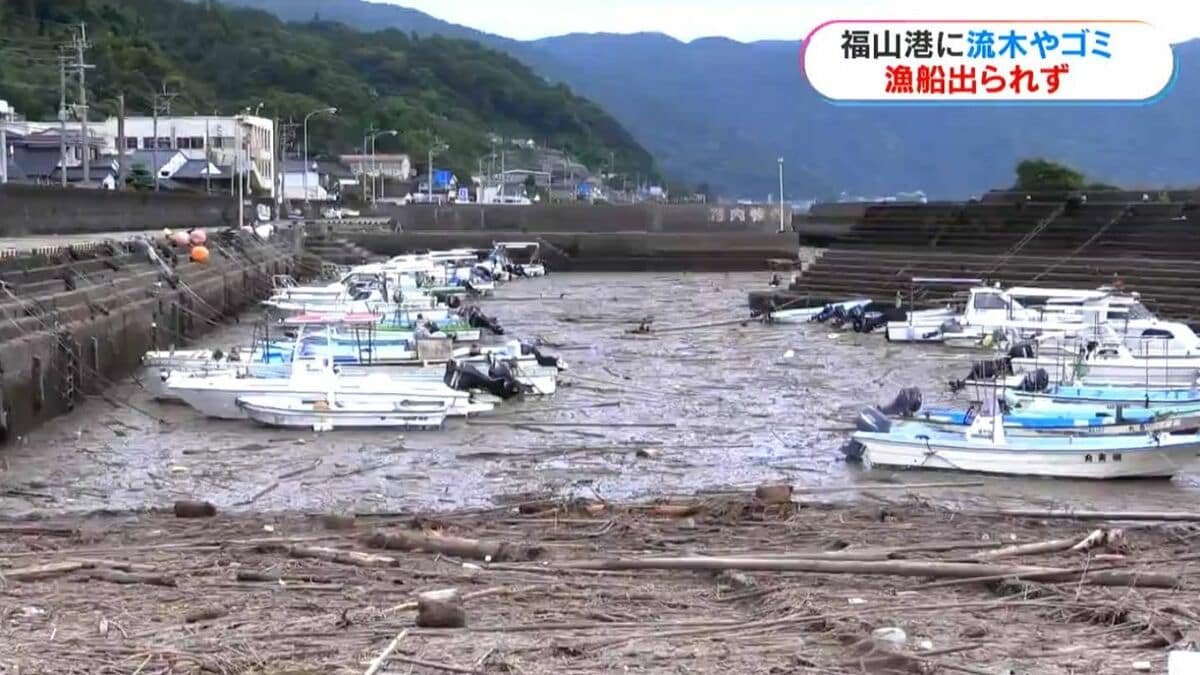 地元の海から取れました少し大きめの流木です！ 流木でゴジラ、不法投棄問題訴え 鳴門の海岸に環境とくしま