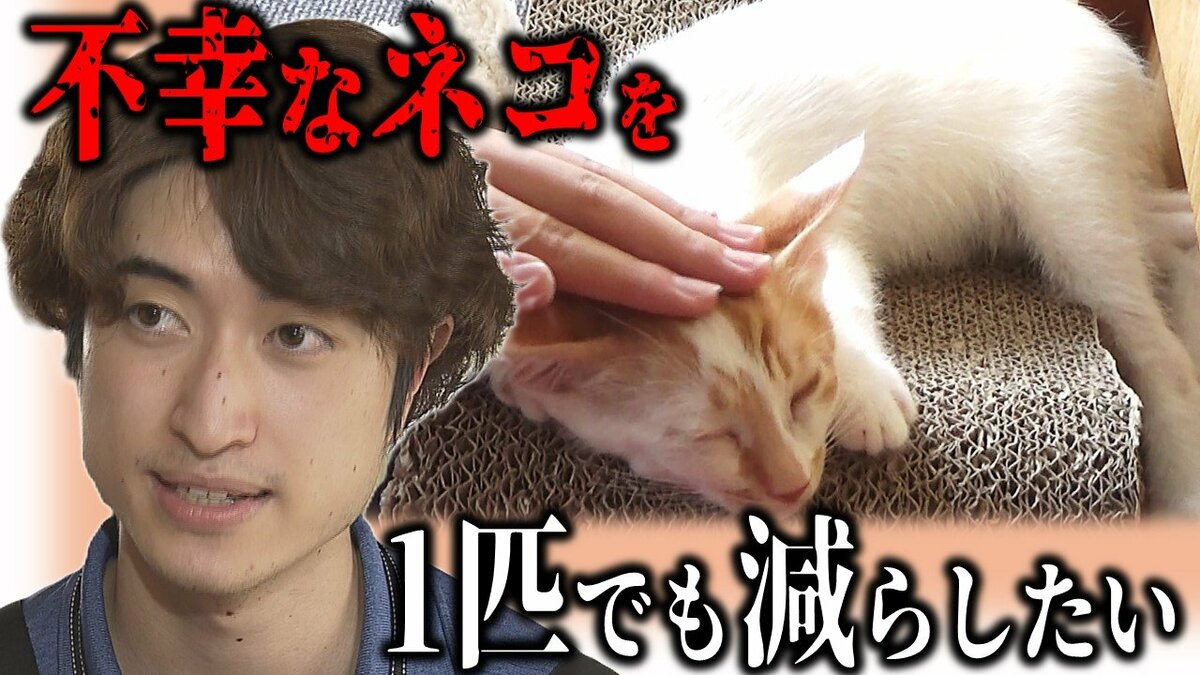 img_81657bffb4932b670a04cc47be