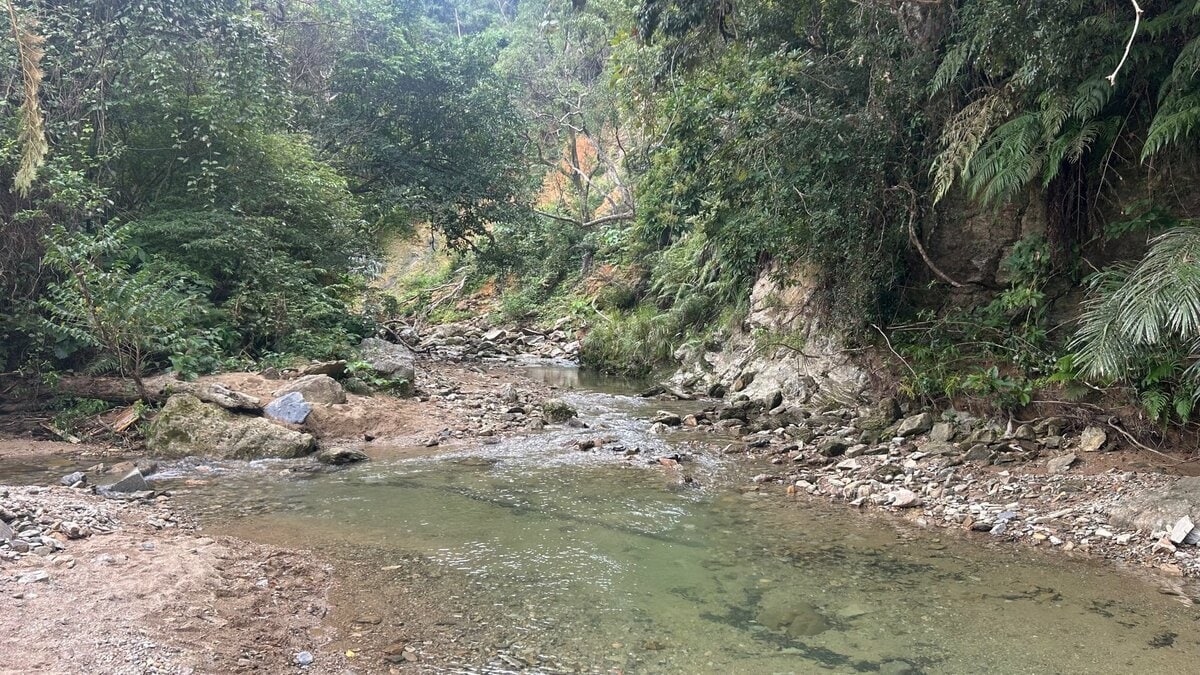【速報】山岳遭難か　滝の駐車場に車停めた70代男性が戻らず