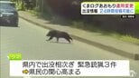 投稿制限していた「くまログあおもり」 24時間投稿を再開 青森県「正しい投稿の仕方が浸透してきた」 虚偽投稿があった場合は厳正に対応 県内のクマ出没件数は474件に|TBS NEWS DIG