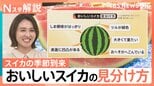 表面に凹凸がある、しま模様がハッキリしている、ツルが緑色…おいしいスイカの選び方【Ｎスタ解説】|TBS NEWS DIG
