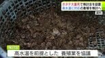 「全湾をあげたホタテガイ産業の再生」高水温を前提とした養殖、別の貝養殖なども検討へ　「産業そのものの存続に関わる重大な局面」迎えた青森県のホタテ　対策検討会を初開催　|　青森のニュース│ATV NEWS│青森テレビ