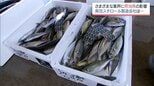 原油高騰　魚を運ぶ「発泡スチロール」の製造コストを直撃　漁業にも影響　地域産業にも暗い影　|　MRTニュース ｜ ＭＲＴ宮崎放送