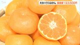 大分ハウスみかん初競り 過去最高値の17万円で取り引き | 大分のニュース|OBS NEWS|大分放送