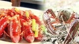 駆除した数は約20万匹「赤いアイツ」を高級食材に うま味が増す秘密は海水飼育?|TBS NEWS DIG