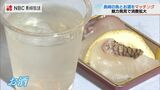 「お酒とサカナのおいしい関係」長崎県内“10酒蔵の酒”と“長崎の魚”のマッチング会 | 長崎のニュース | 天気 | NBC長崎放送