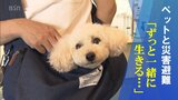 「家族だから一緒に…」ペットを連れていける避難所を! 行政を動かした飼い主の思い | 新潟のニュース・天気|BSN NEWS|BSN新潟放送