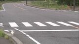 横断歩道で男子高校生(17)はねられ意識不明 会社員の男(26)現行犯逮捕 福島・広野町 | 福島のニュース│TUF