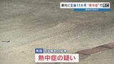 【乳児"熱中症"死亡】車内に残された11か月男児が死亡　母親「家事に気をとられた」 医師「子どもは重症化しやすい」　|TBS NEWS DIG