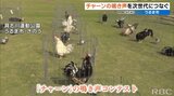 美しくうたう『チャーン』の泣き声コンテスト 審査員は子どもたち|TBS NEWS DIG