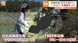 ＧＷ後半初日は行楽日和！ 「こういう感じで確実です」“幻の生物つちのこ”大捜索イベントに自作捕獲機の猛者も|TBS NEWS DIG