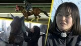 【翔ける2026～Start Dash～③】2026年デビューする女性ジョッキー　齋藤友香騎手　岩手|TBS NEWS DIG