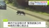 投稿制限していた「くまログあおもり」 24時間投稿を再開 青森県「正しい投稿の仕方が浸透してきた」 虚偽投稿があった場合は厳正に対応 県内のクマ出没件数は474件に|TBS NEWS DIG