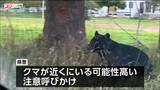 「クマが徘徊している」体長1mのクマが沿岸部の公園や周辺の路上で連続して目撃される 宮城・塩釜市 | 宮城のニュース│tbc NEWS│tbc東北放送