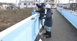 国の暫定指針値の8倍を超えも 発がん性物質PFAS 金沢市内の河川・地下水調査の結果 9地点で検出|TBS NEWS DIG