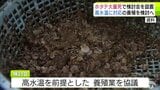「全湾をあげたホタテガイ産業の再生」高水温を前提とした養殖、別の貝養殖なども検討へ　「産業そのものの存続に関わる重大な局面」迎えた青森県のホタテ　対策検討会を初開催|TBS NEWS DIG